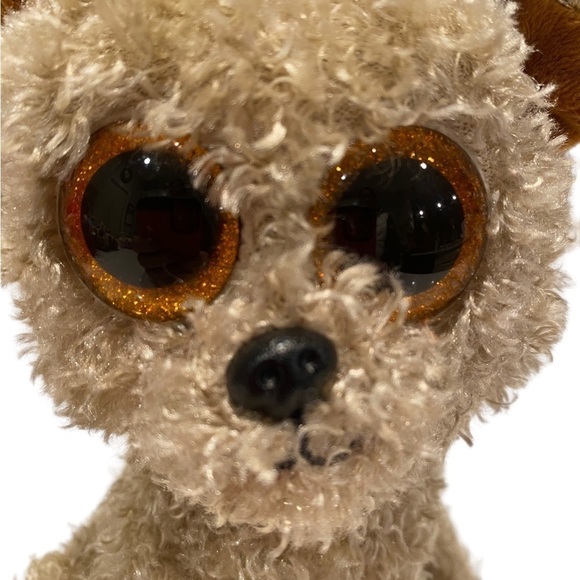 Ty Beanie Boos Rootbeer the Dog 2013 Glitter Eyes   No Heart Tag - Picture 2 of 10